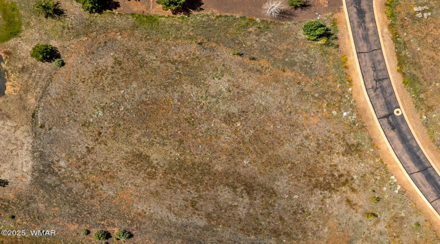9585SierraSpringsDr-Pinetop-AZ-16