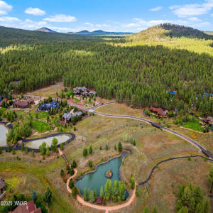 9585SierraSpringsDr-Pinetop-AZ-4