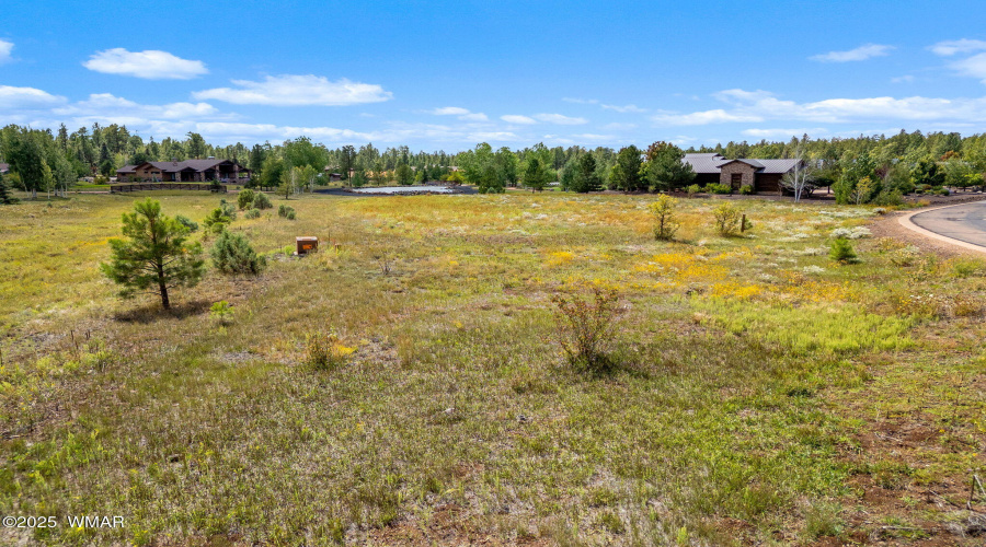 9585SierraSpringsDr-Pinetop-AZ-13