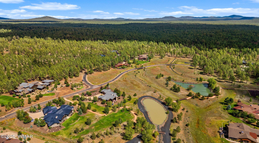 9585SierraSpringsDr-Pinetop-AZ-3