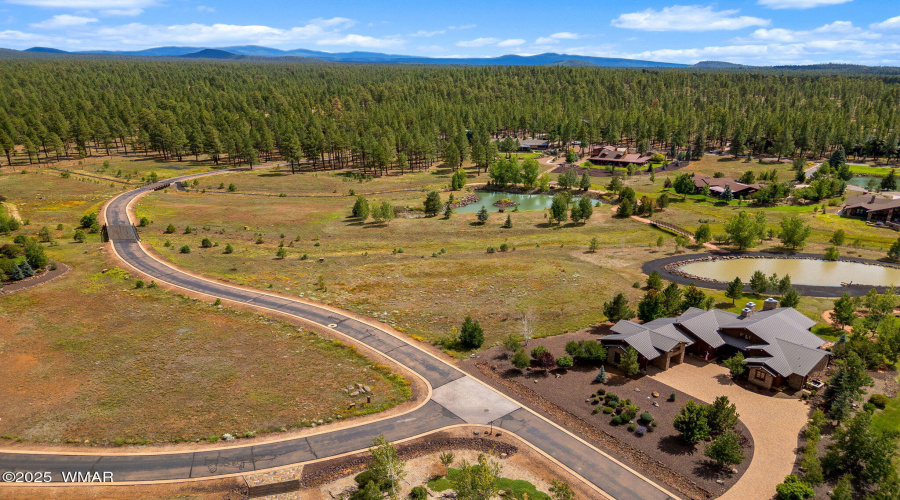 9585SierraSpringsDr-Pinetop-AZ-6