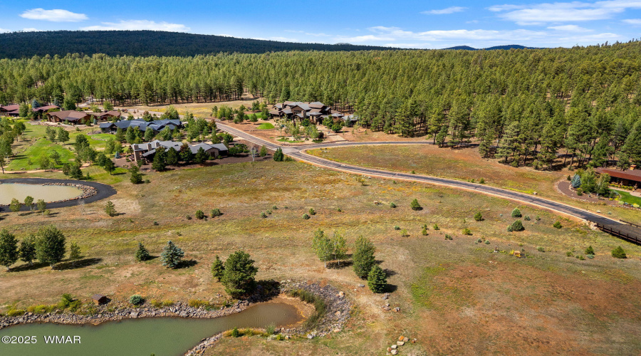9585SierraSpringsDr-Pinetop-AZ-8