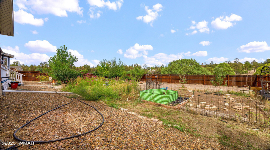 Backyard Main