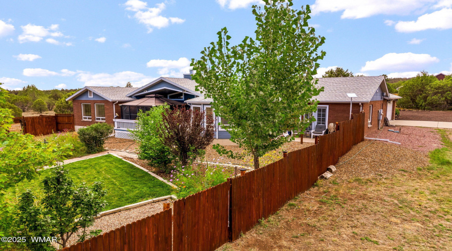 Backyard Main