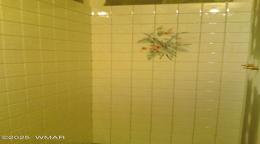 3 Downstairs Bathroom