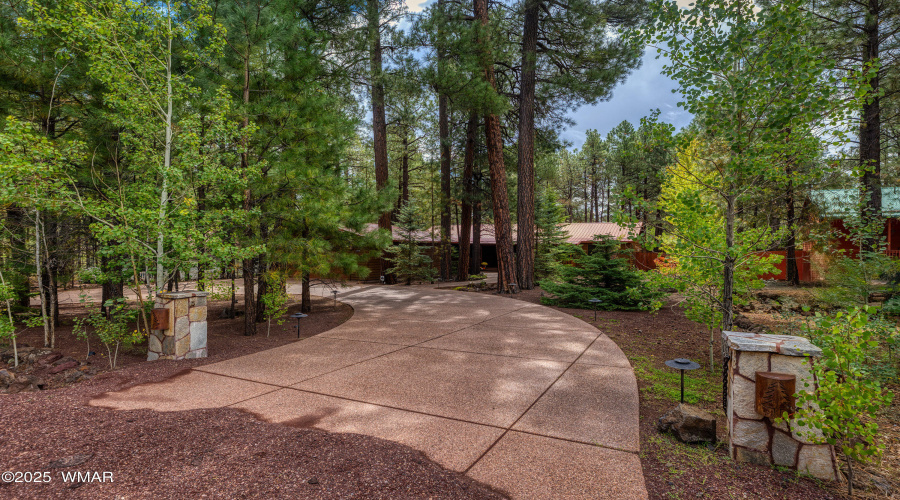 Driveway