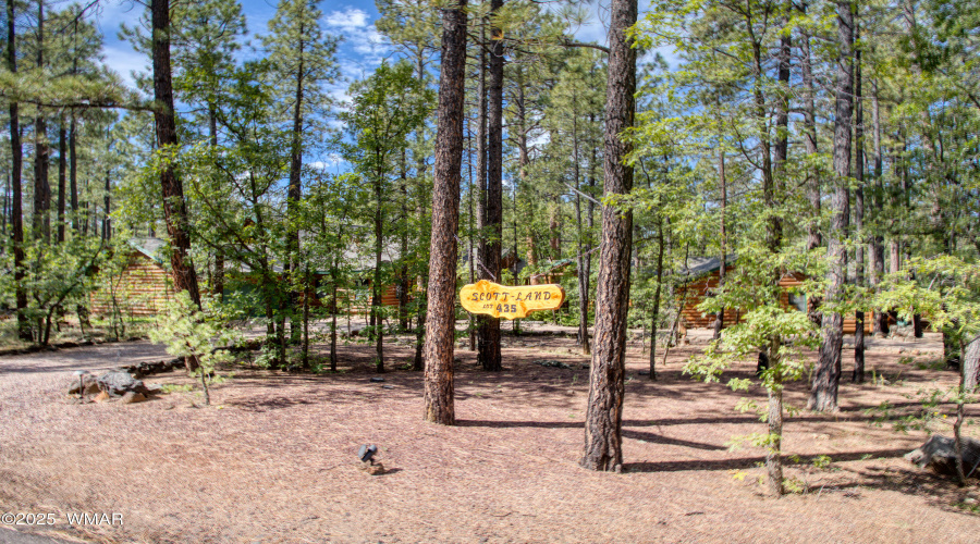 Paxmanphoto_PAX_3153