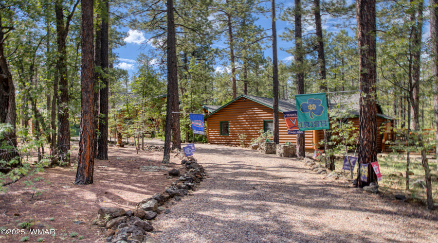 Paxmanphoto_PAX_3156