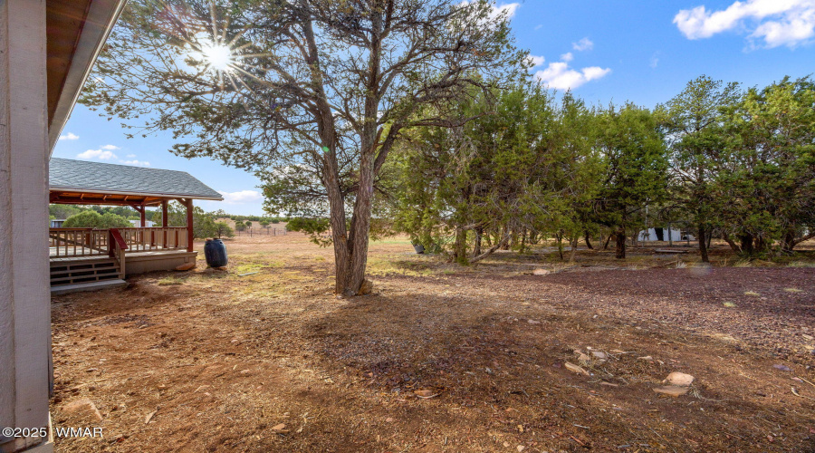 4998RogersLn-ShowLow-AZ-3