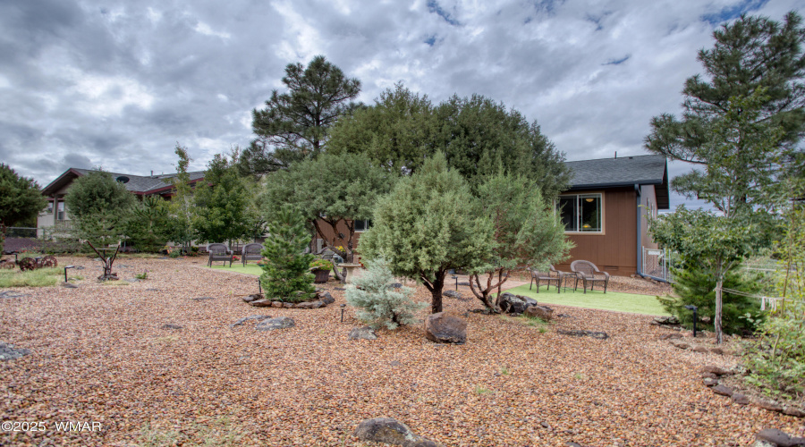 Paxmanphoto_PAX_3357