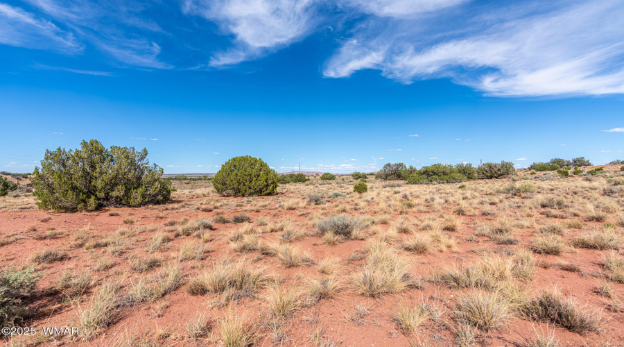 _DSC1543-HDR-Edit