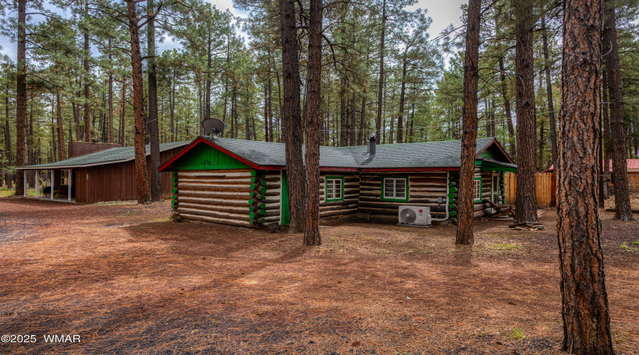 Tall Pines!