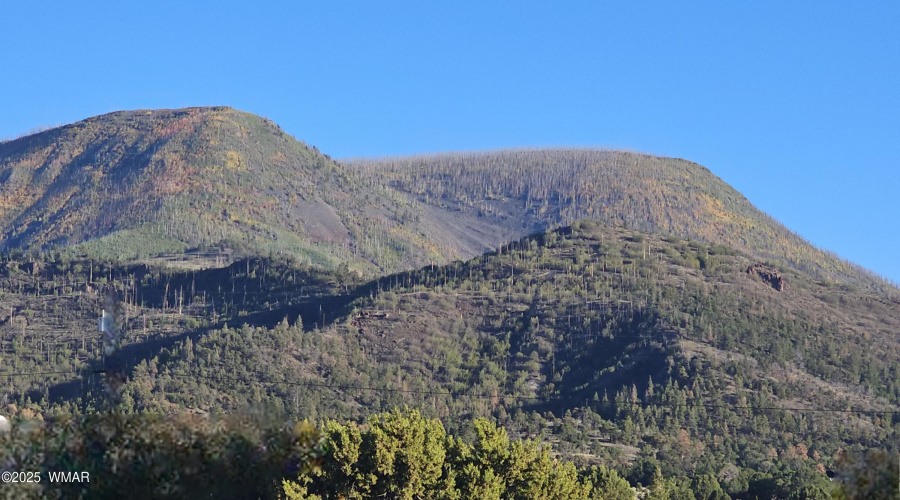Views from Lot of Escudilla