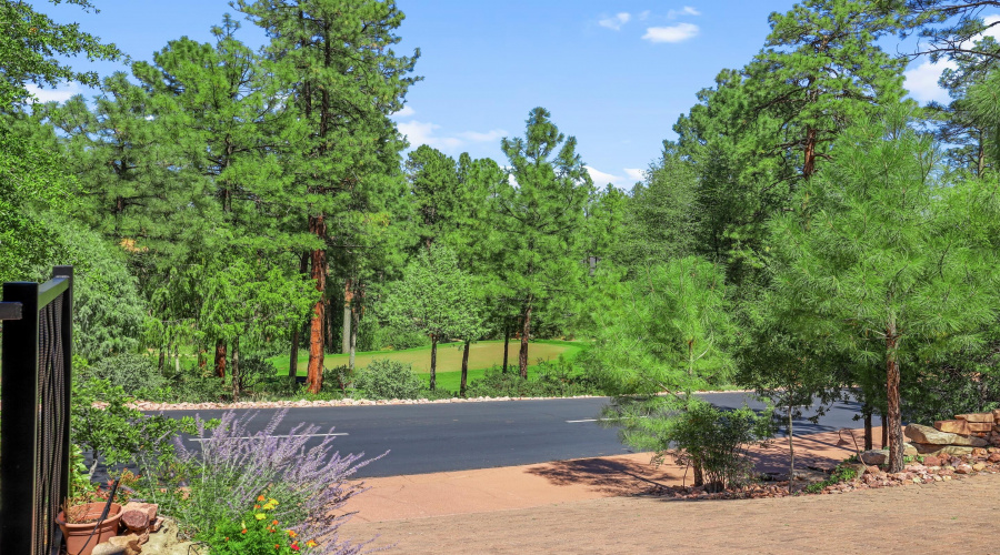 View of 14th Green from Home