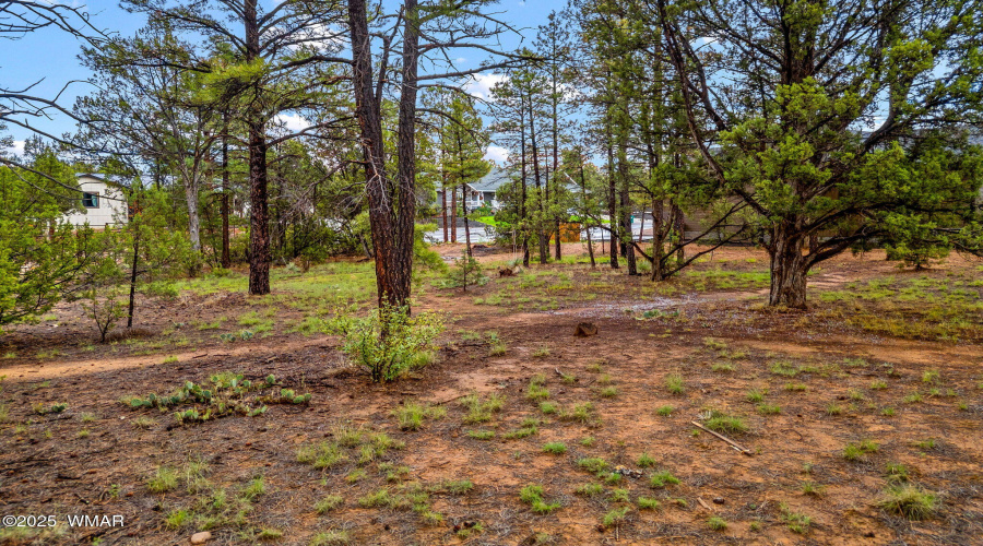 2800NEagleViewCir-ShowLow-AZ-2