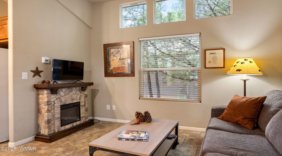 Fireplace in Living Room