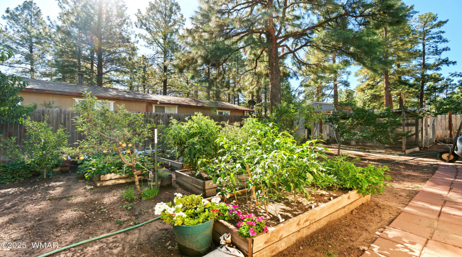 Garden Beds