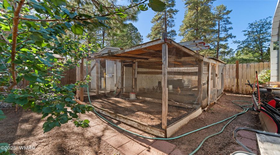 Chicken Coop