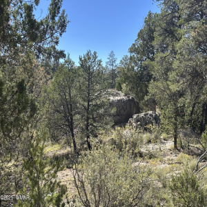 3673 Pine Rim