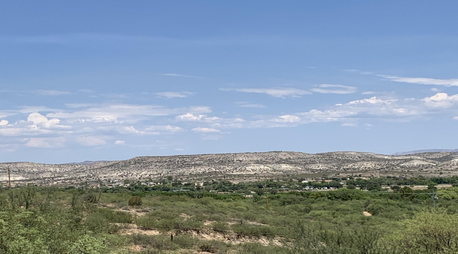 Panoramic