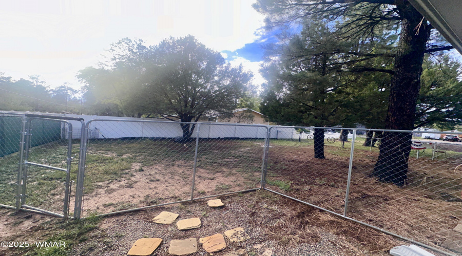 Dog run area