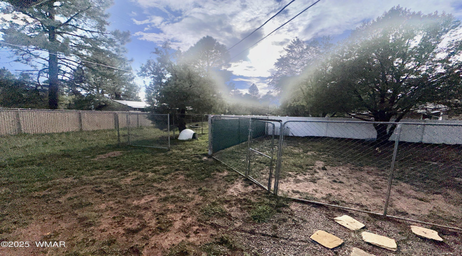 Dog run area