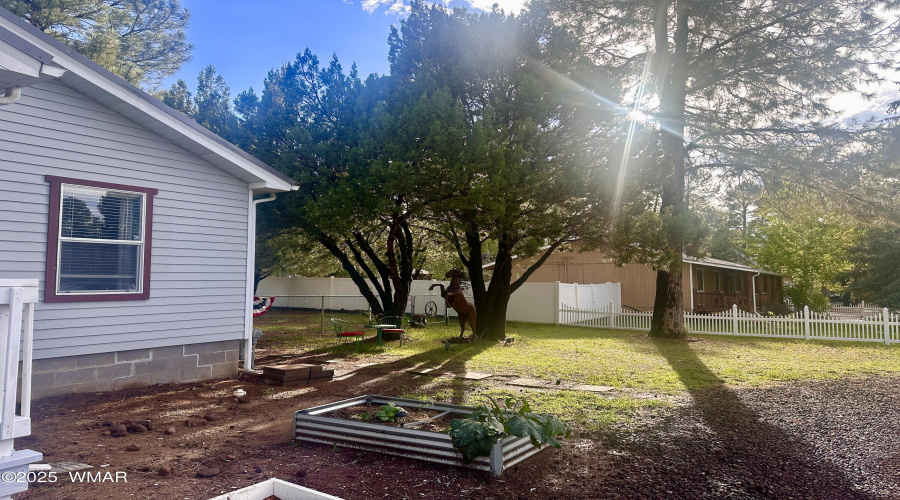 Front yard