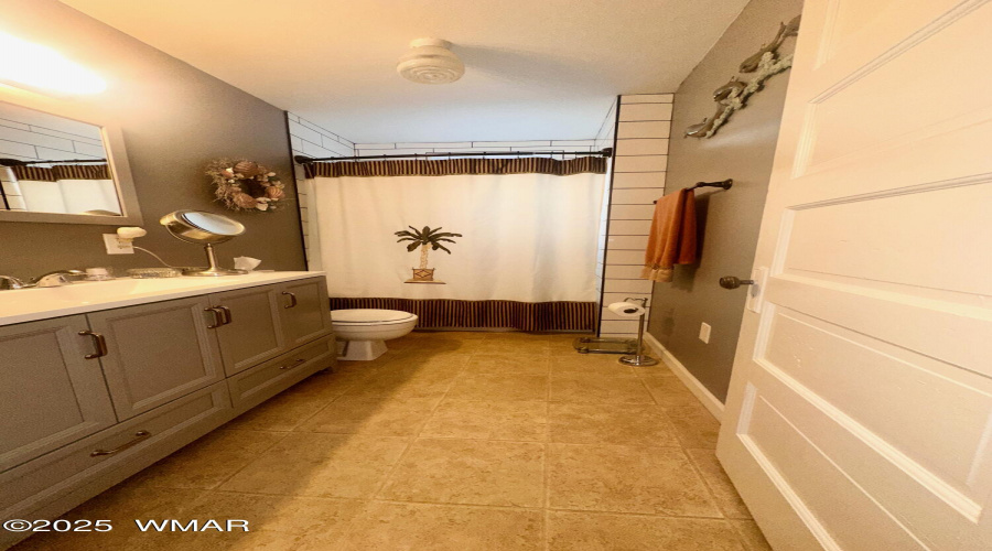 Hall bathroom