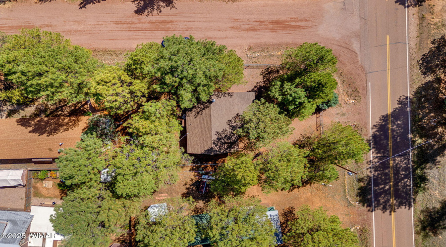 2867PineRimRd-HeberOvergaard-AZ-31