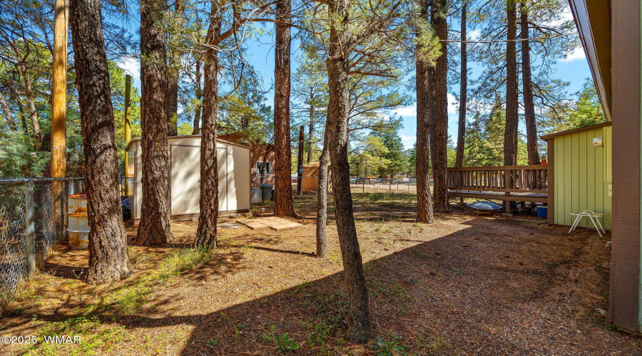 2867PineRimRd-HeberOvergaard-AZ-23
