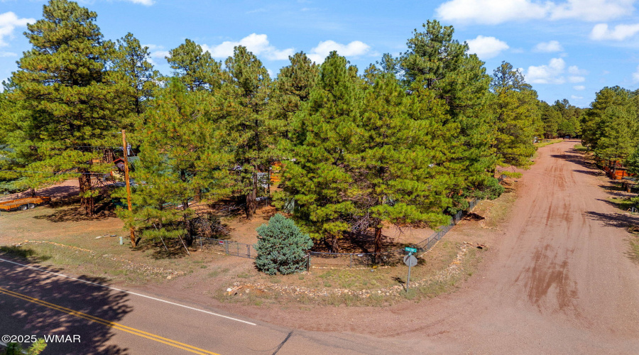 2867PineRimRd-HeberOvergaard-AZ-25