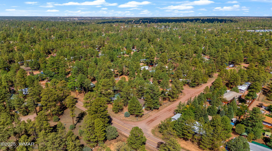2867PineRimRd-HeberOvergaard-AZ-27