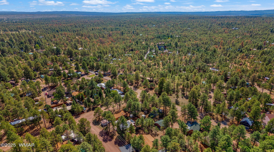 2867PineRimRd-HeberOvergaard-AZ-28