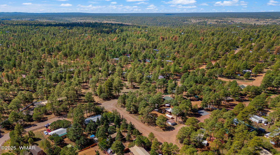 2867PineRimRd-HeberOvergaard-AZ-29