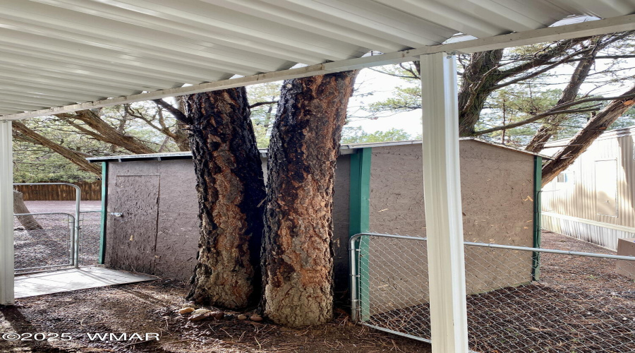 Storage Shed