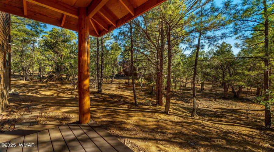 1600SVineMapleLn-ShowLow-AZ-26