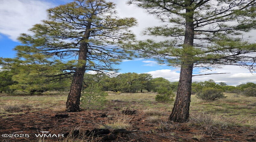 image000002 (36)