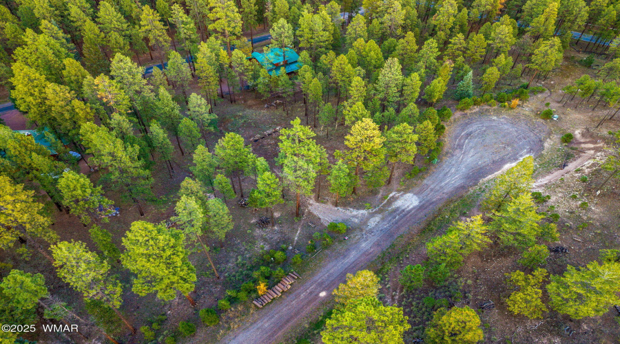 Parcel10172028-AlpineAZ-9