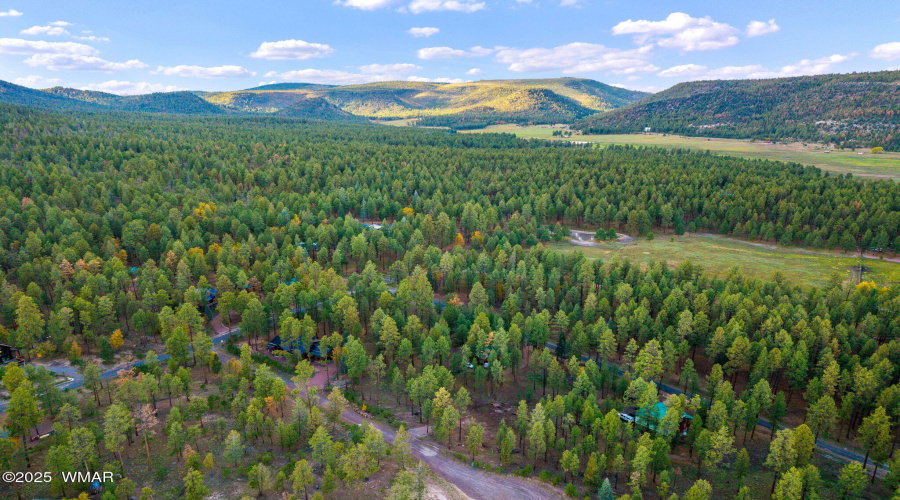 Parcel10172028-AlpineAZ-1