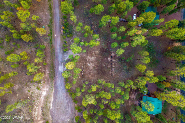 Parcel10172028-AlpineAZ-5