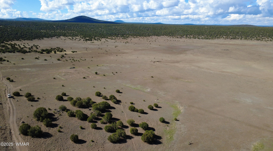 DJI_0152