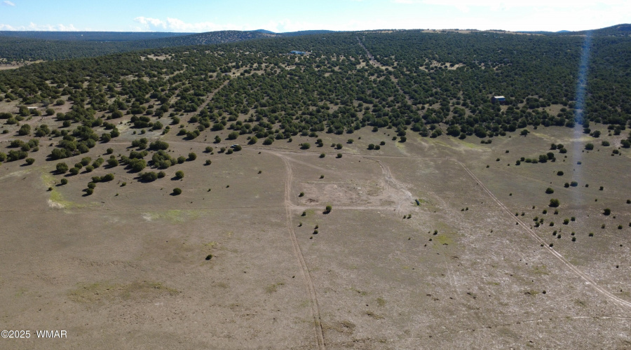 DJI_0155