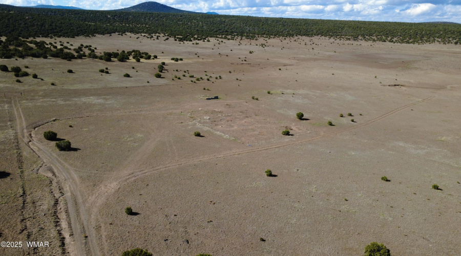 DJI_0156