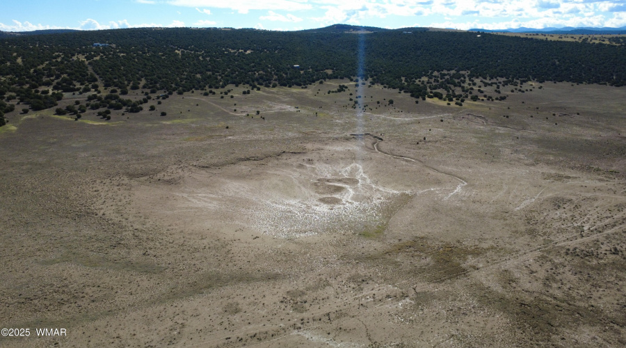 DJI_0151