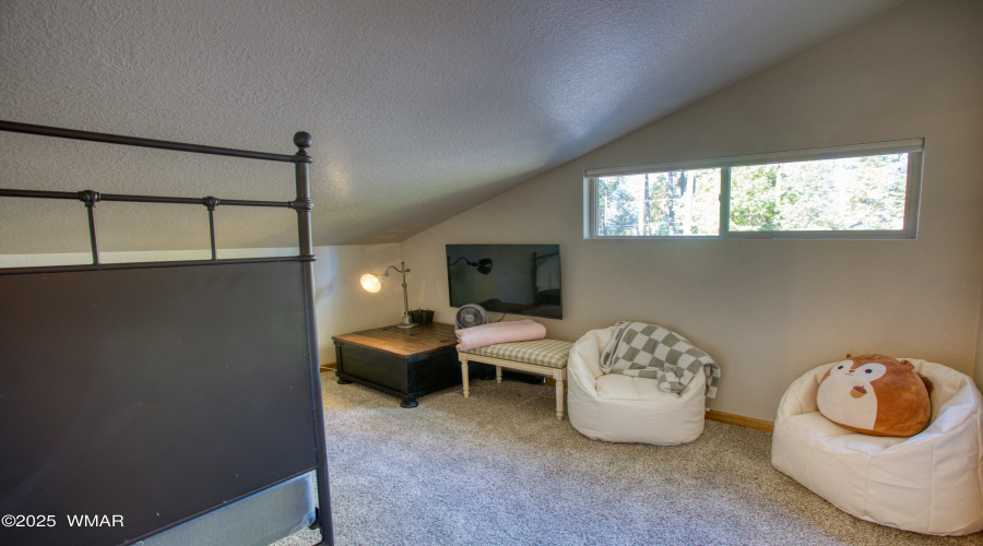 Paxmanphoto_PAX_4981