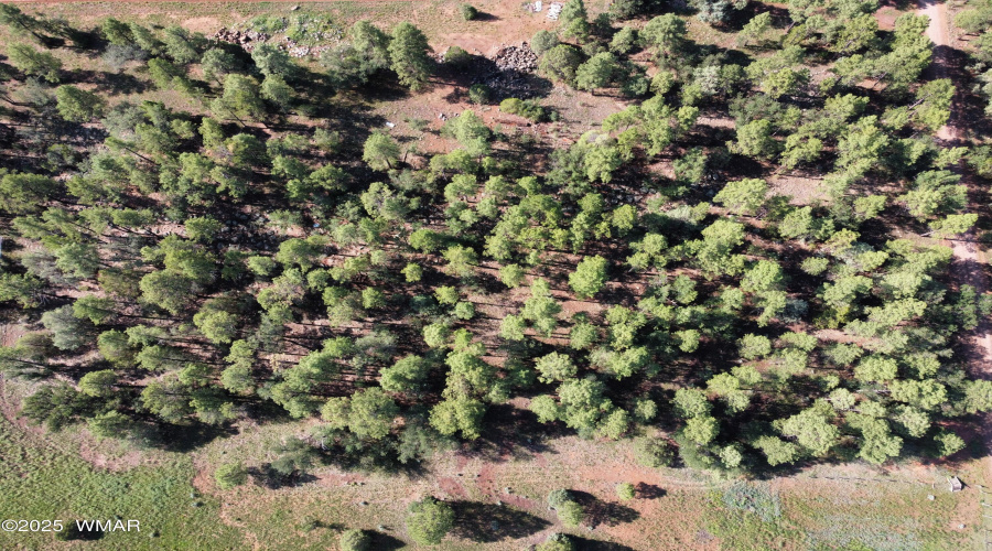 Photo_6553980_DJI_380_jpg_