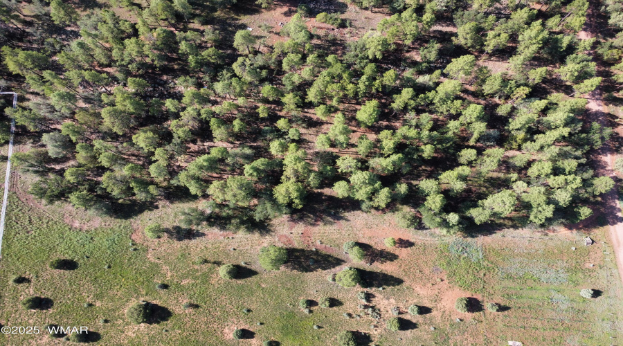 Photo_6553979_DJI_379_jpg_5550592_0_2021