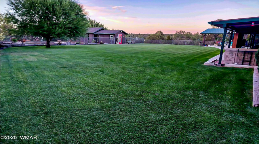 green Backyard at Cedar Drive