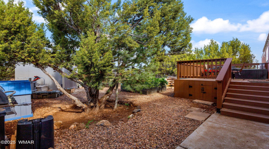 3 N - Back Yard, new porch