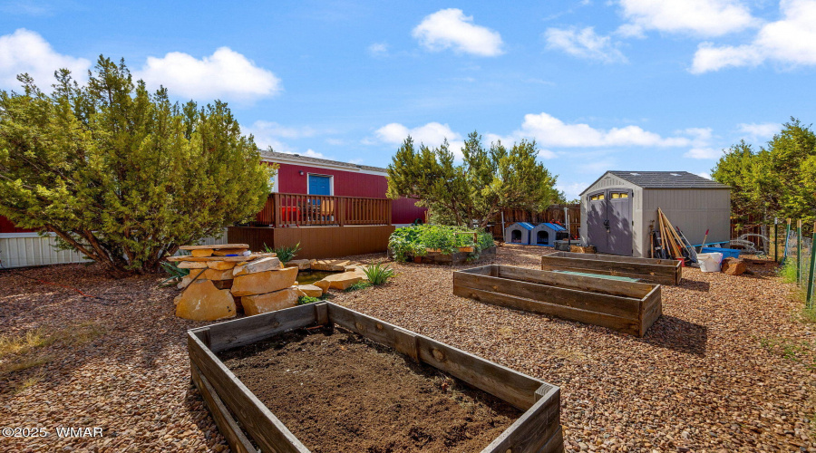 3 N - Back yard